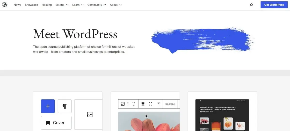 WordPress - Main